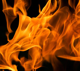 flame - perfect background of fire