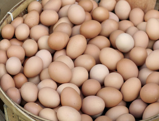 eggs