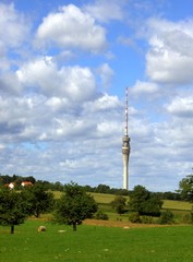 Obraz premium Dresdener Fernsehturm 01