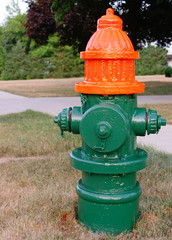 Freshly painted fire hydrant, in garish green and orange