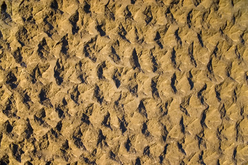 Close up picture of th stone wall.