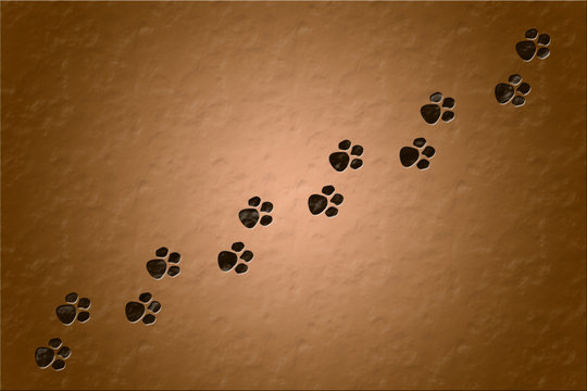 illustrations design