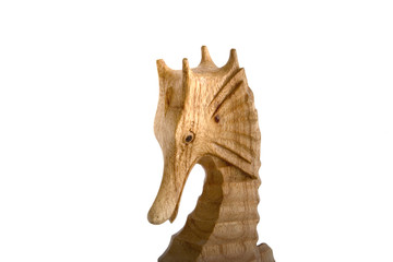 hippocampe tête / blanc