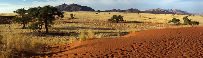 Foto op Canvas Paysage du Désert du Namib - Saison sèche © Sahara Nature