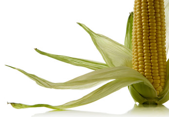 corn