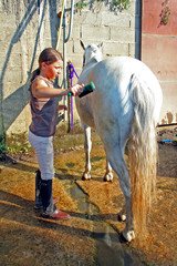 cavalière