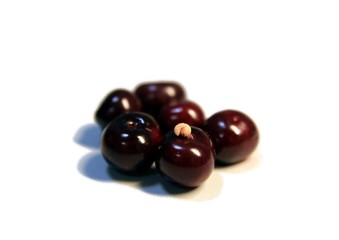 worm on cherries