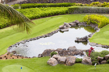 Golf Course for Putting with Gold Fish Pond