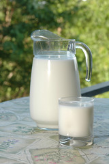A pitcher of fresh milk on the terrace