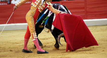 Naklejka premium el cid-02