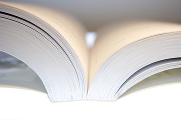 IMG_3169livre.JPG