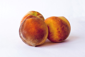 pesche