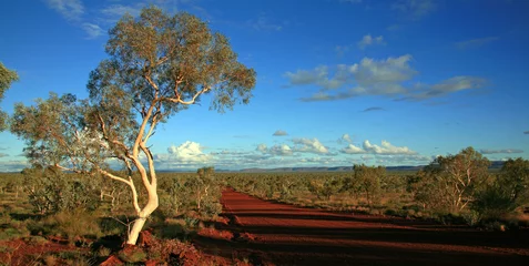 Fototapete Karijini National Park Australien_07_1824,01 © Andreas Edelmann