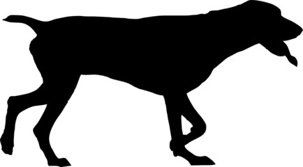 dog silhouette