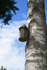 Nistkasten