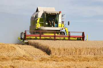 season of the harvests and work in the fields