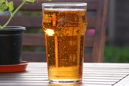 Cider Pint
