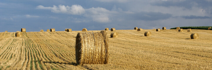 panorama de rouleaux de paille