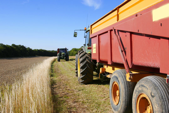 season of the harvests and work in the fields