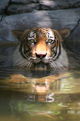 Extreme Beauty, Extreme Power