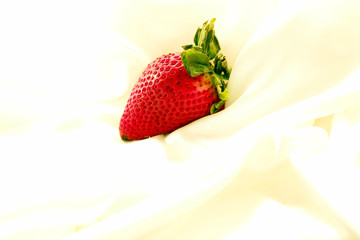Single strawberry on a cloud of soft white satin
