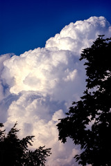 Fototapeta premium Storm Cloudscape