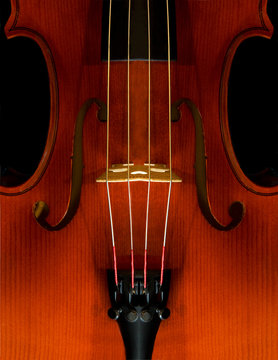 Violon Close-Up