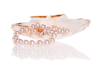 Pearls necklace inside scallop shell