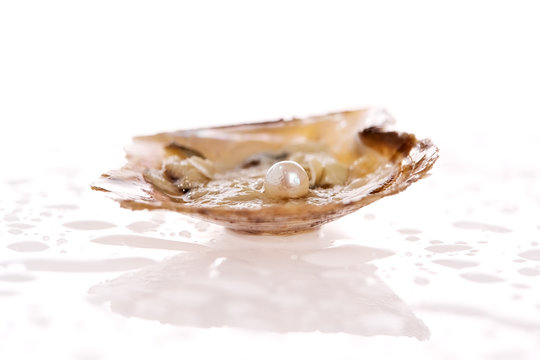 Pearl inside an oyster shell