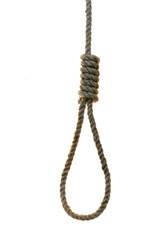  noose over the white background