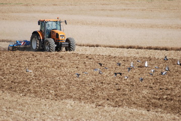 labourage