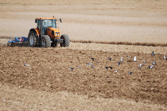 labourage