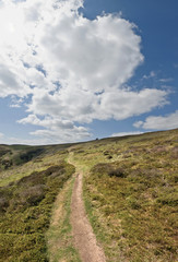 mountains sunlit footpath and moody clouds