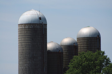 Fototapeta premium Grain Silo