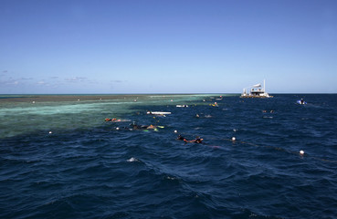 snorkeling at the great barrier reef