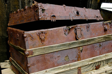 Old Trunk