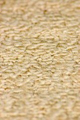 Carpet Textures 1