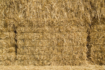 haystack background
