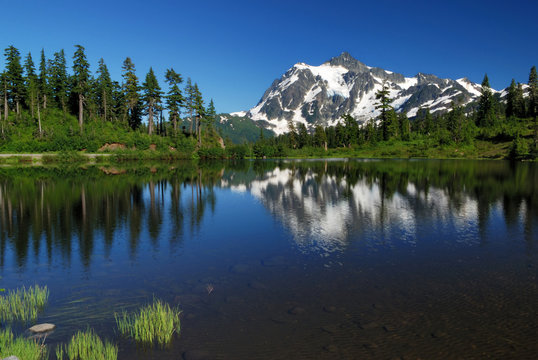mt. shuksan and reflection on picture lake