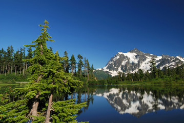 mt. shuksan and reflection on picture lake