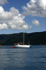 Fototapeta premium boat