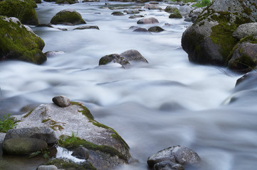 kleiner Flusslauf mit vielen Steinen und Felsen