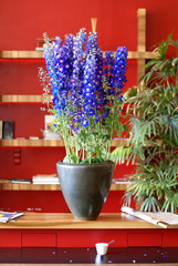 Beaming blue flowers in red restaurant