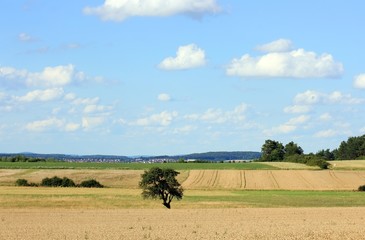Obraz premium Landschaft im Schwarzwald