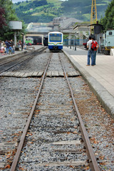 Regional train parked in a station