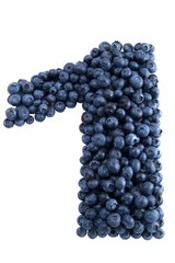 Blue - berry - a - tion - 1