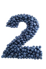 Blue - berry - a - tion - 2