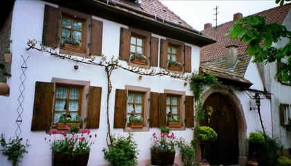 Fototapeta na wymiar Rhodt Pfalz Winzerhaus