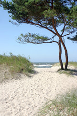 Sandy path to the beach 