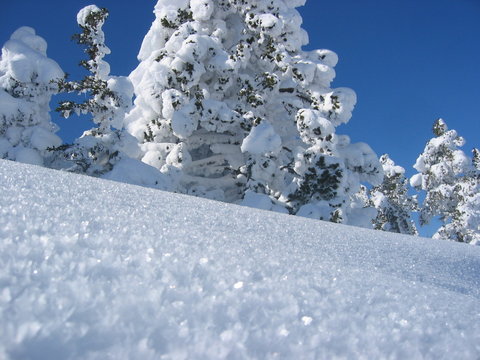 Cristaux de neige